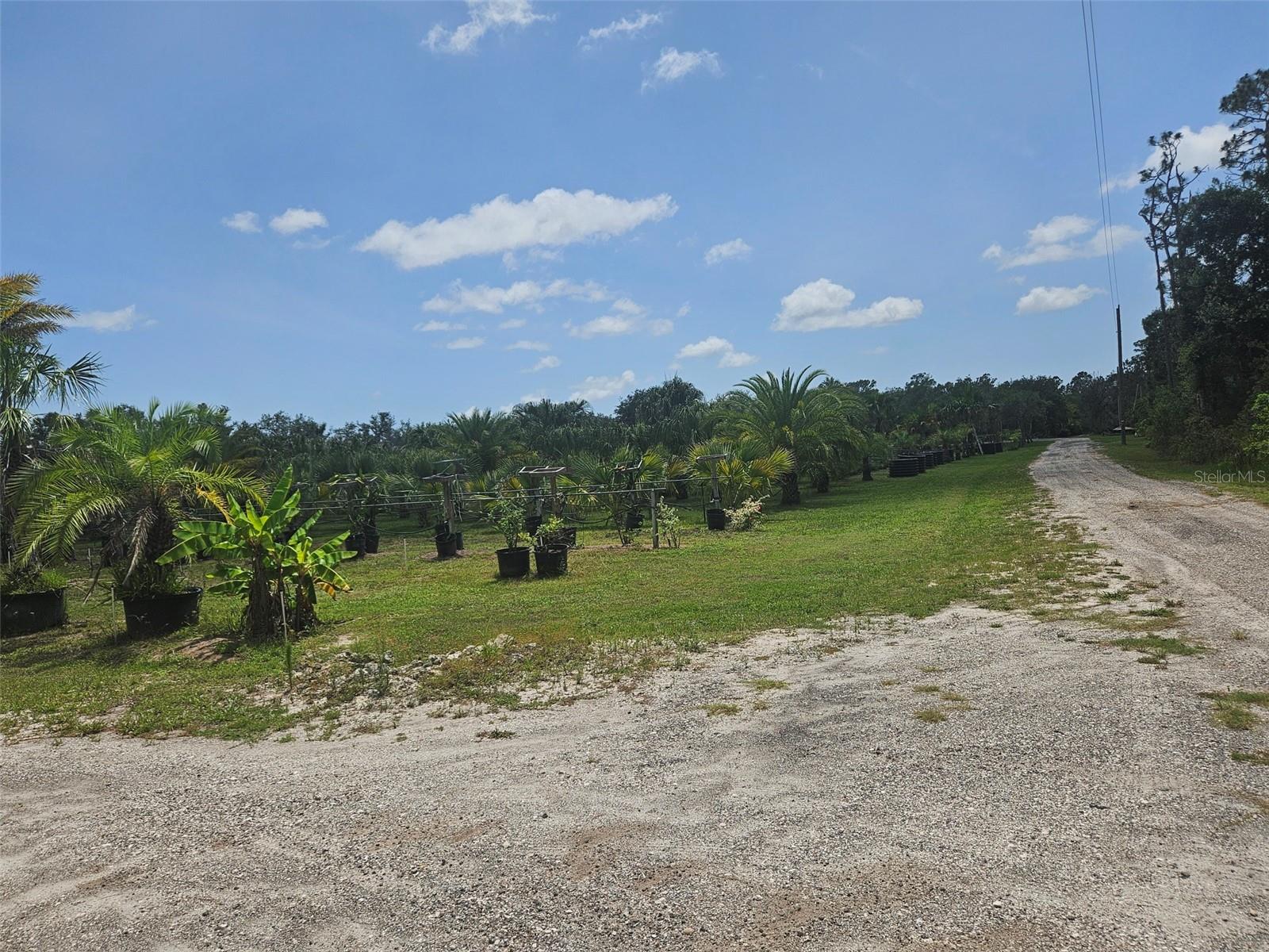 21910 TAYLOR DR, BRADENTON, FL — photo 9