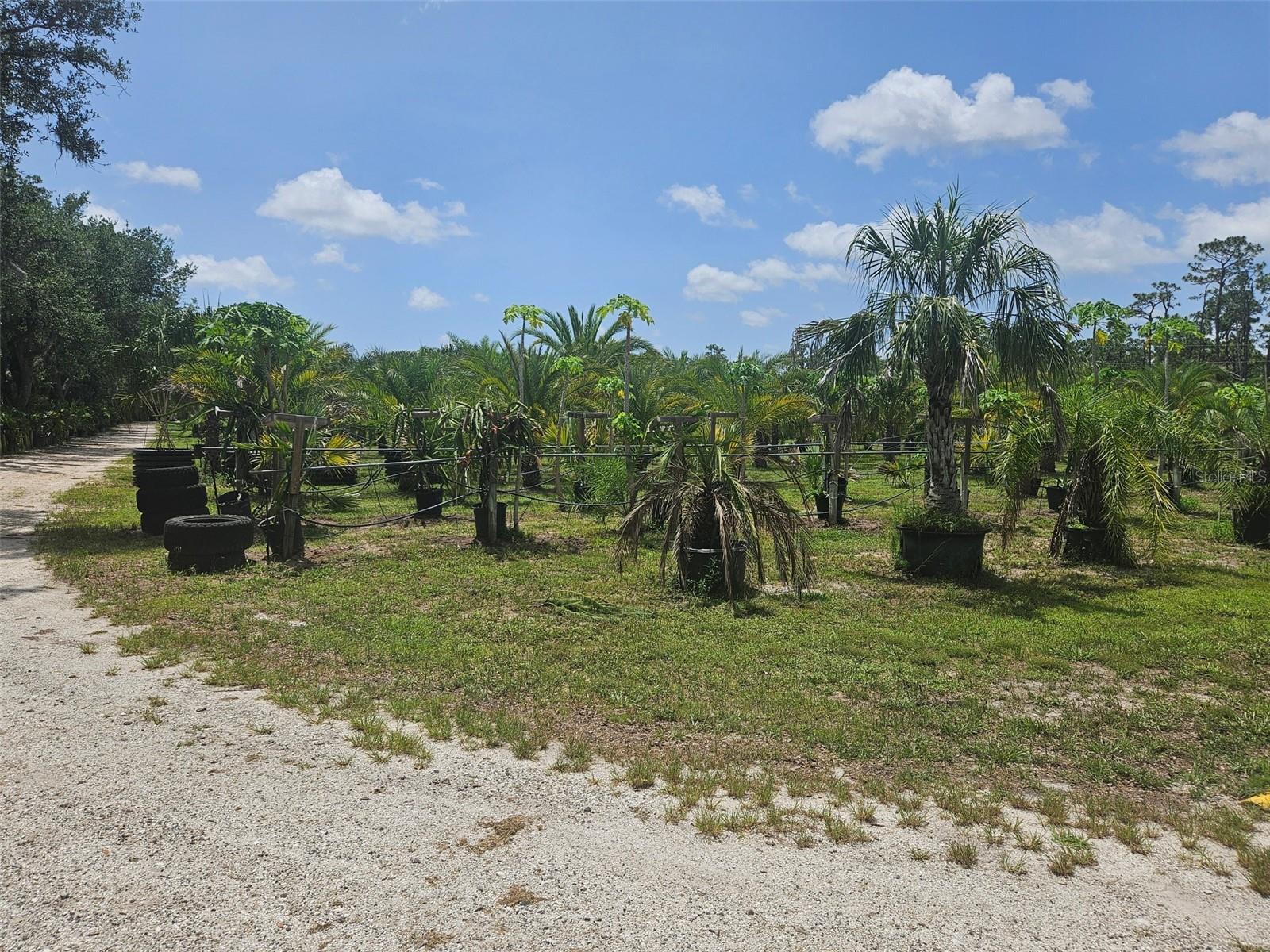 21910 TAYLOR DR, BRADENTON, FL — photo 10