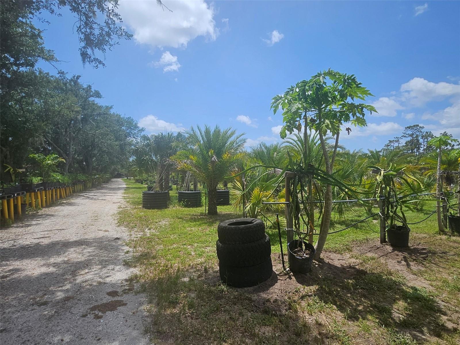 21910 TAYLOR DR, BRADENTON, FL — photo 11