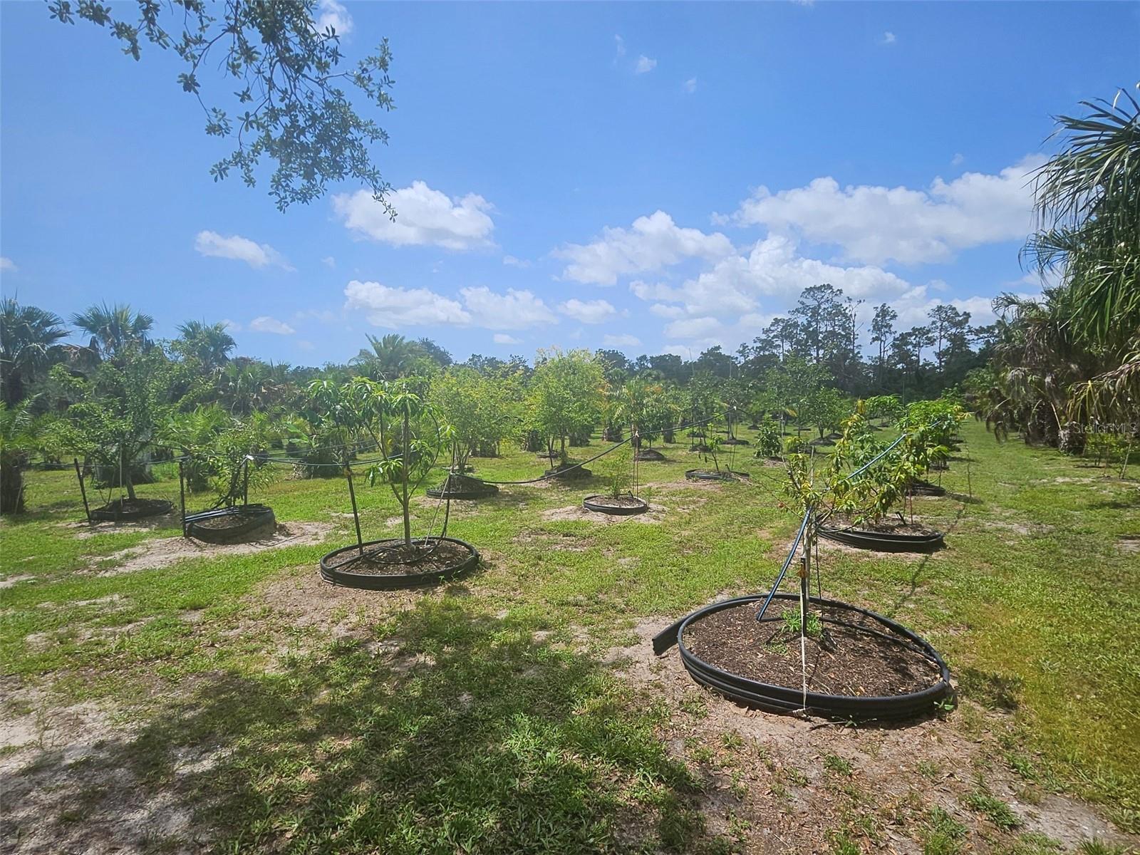 21910 TAYLOR DR, BRADENTON, FL — photo 12