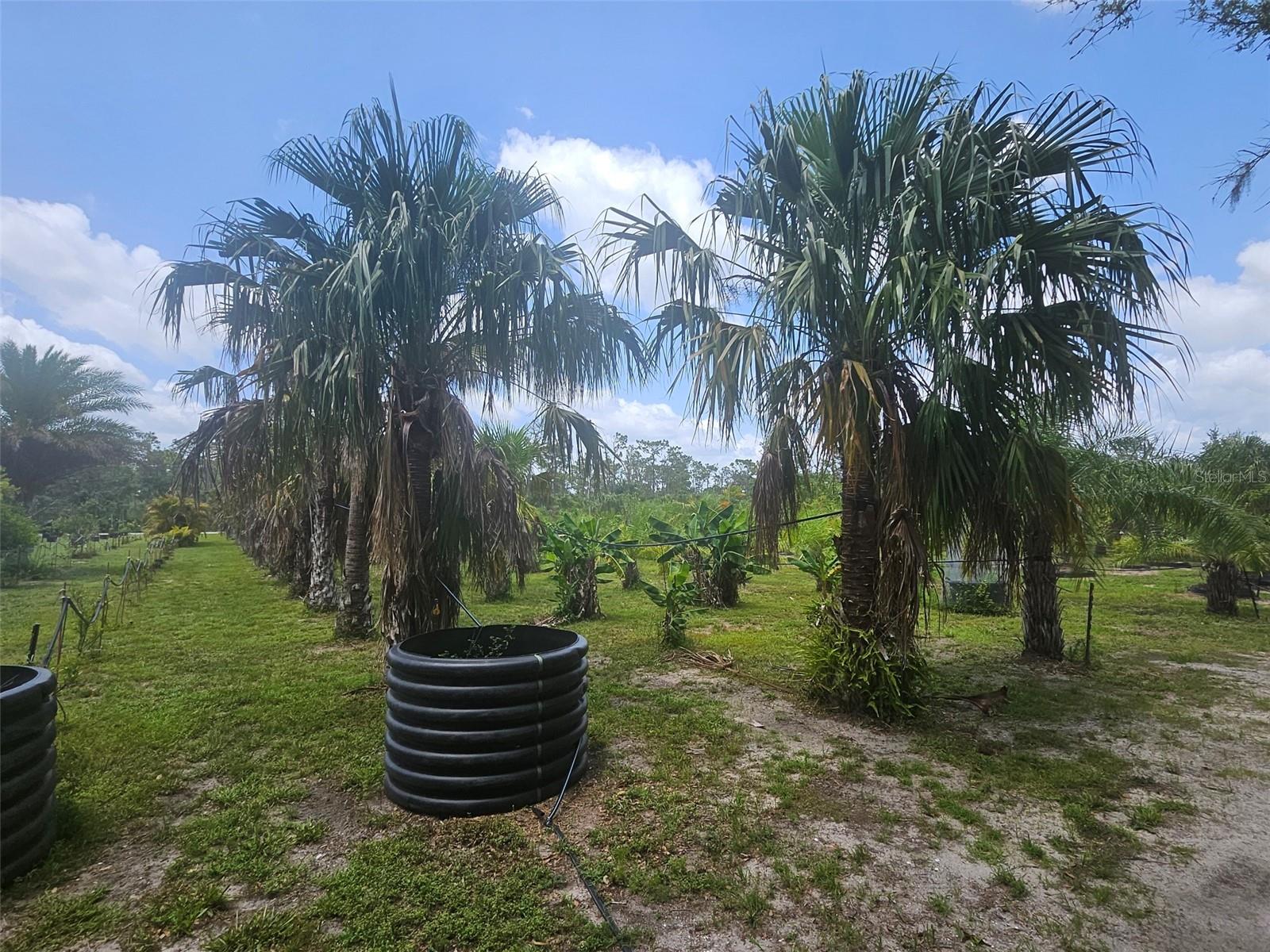 21910 TAYLOR DR, BRADENTON, FL — photo 13
