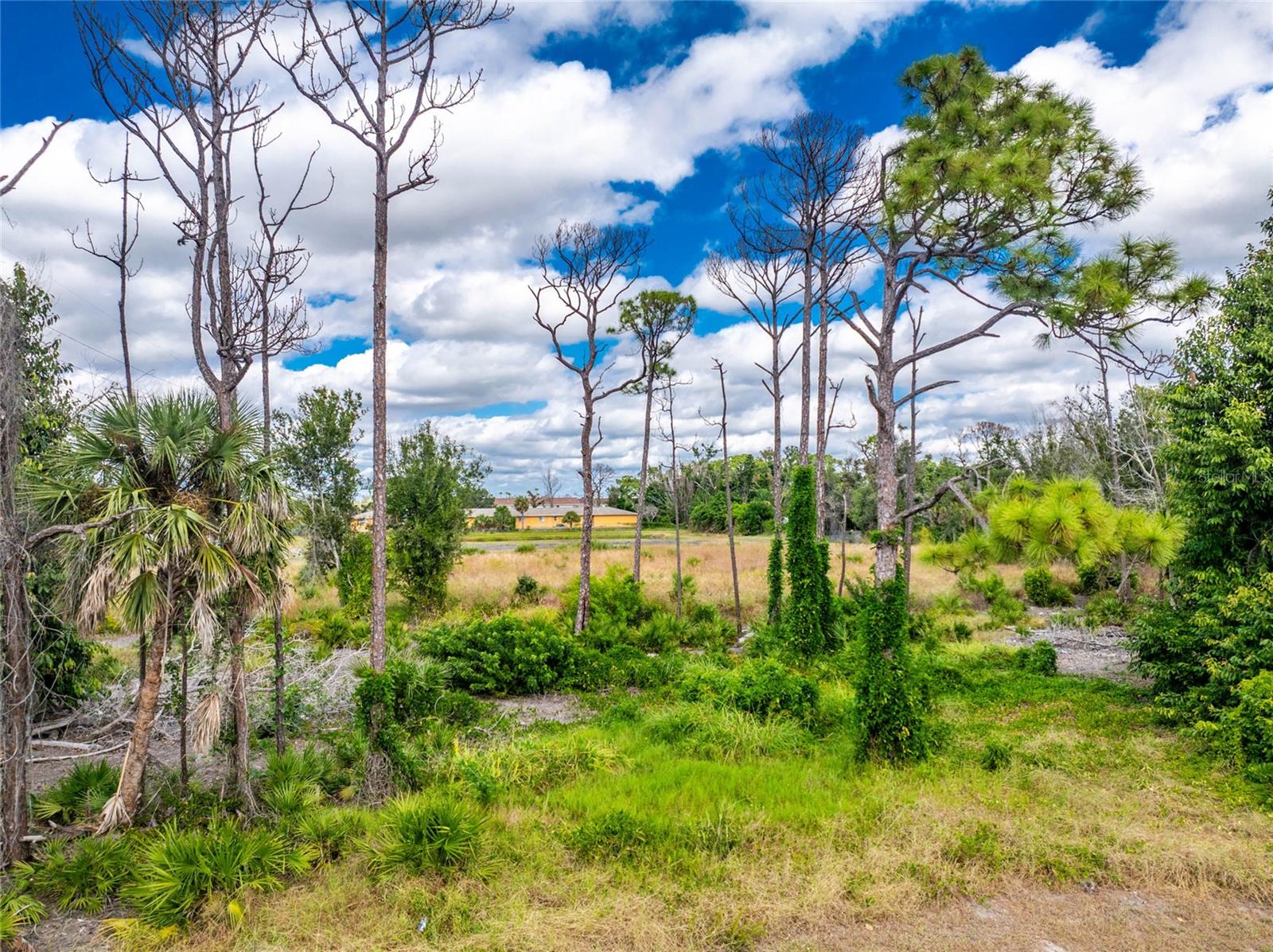 1701 PLACIDA RD, ENGLEWOOD, FL — photo 17
