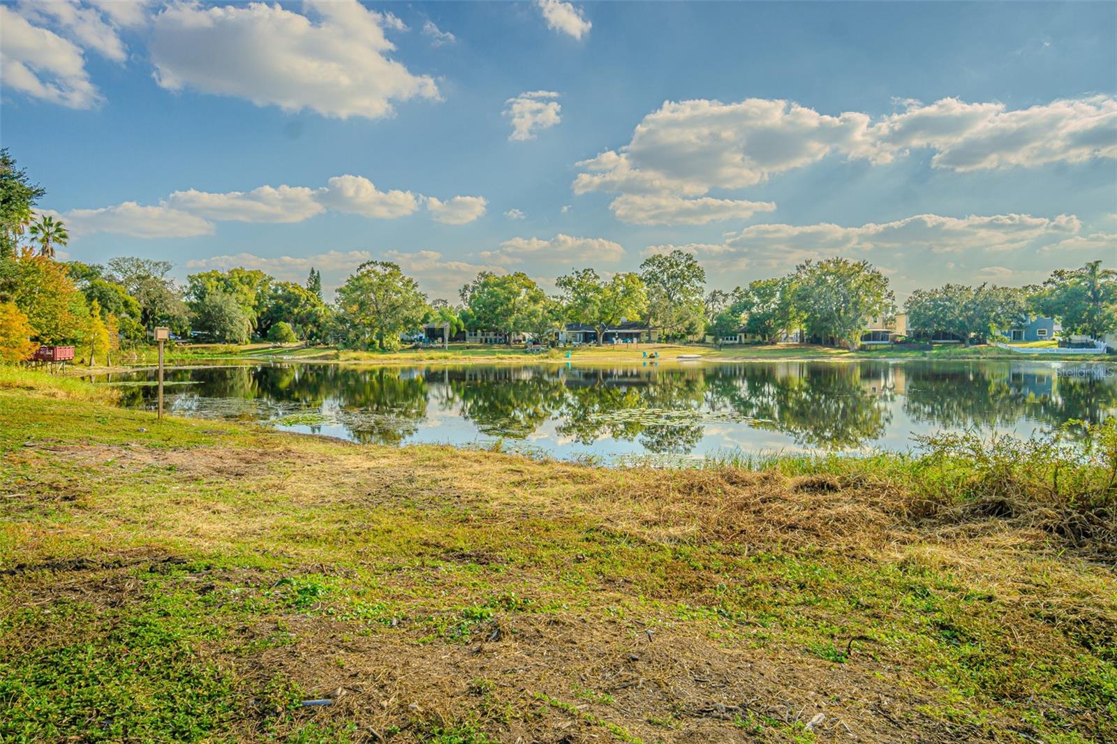 12510 FOREST HILLS DR, TAMPA, FL — photo 5