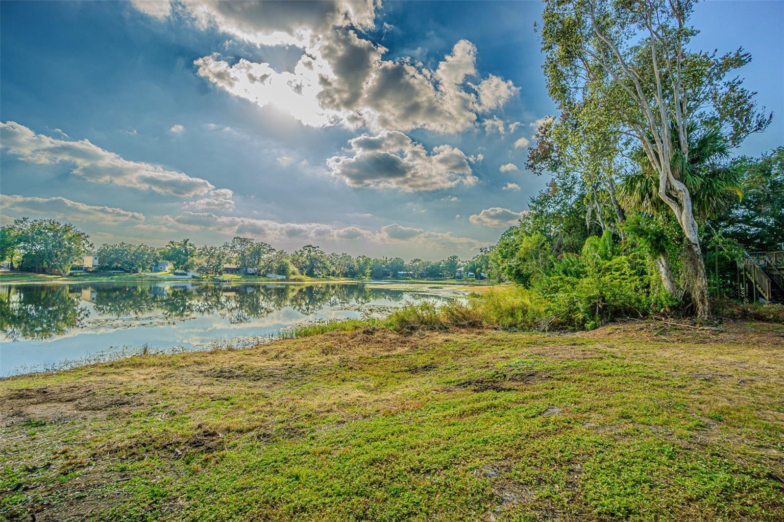 12510 FOREST HILLS DR, TAMPA, FL — photo 42