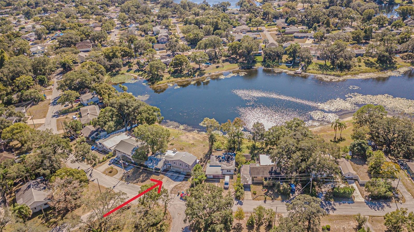 12510 FOREST HILLS DR, TAMPA, FL — photo 2