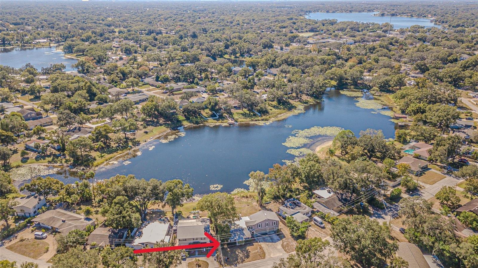 12510 FOREST HILLS DR, TAMPA, FL — photo 44