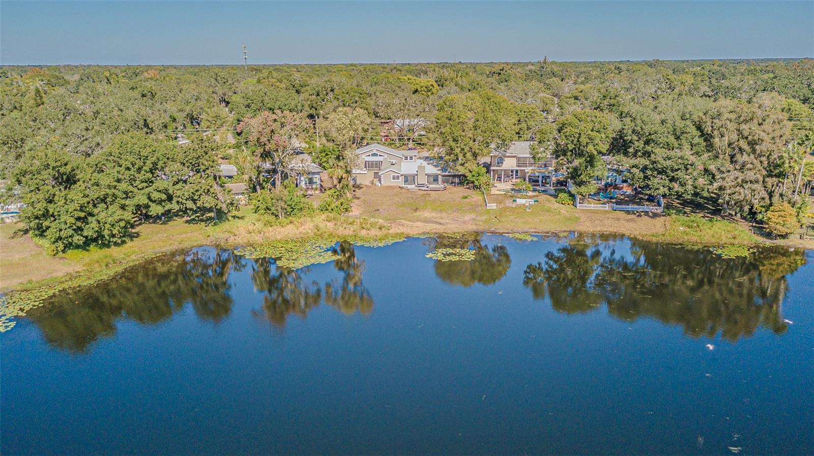 12510 FOREST HILLS DR, TAMPA, FL — photo 46