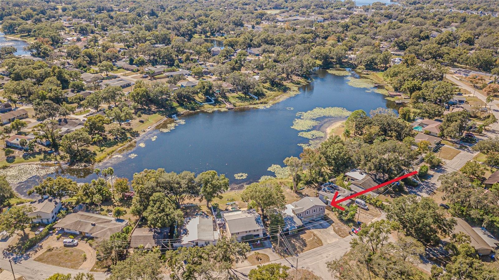 12510 FOREST HILLS DR, TAMPA, FL — photo 54