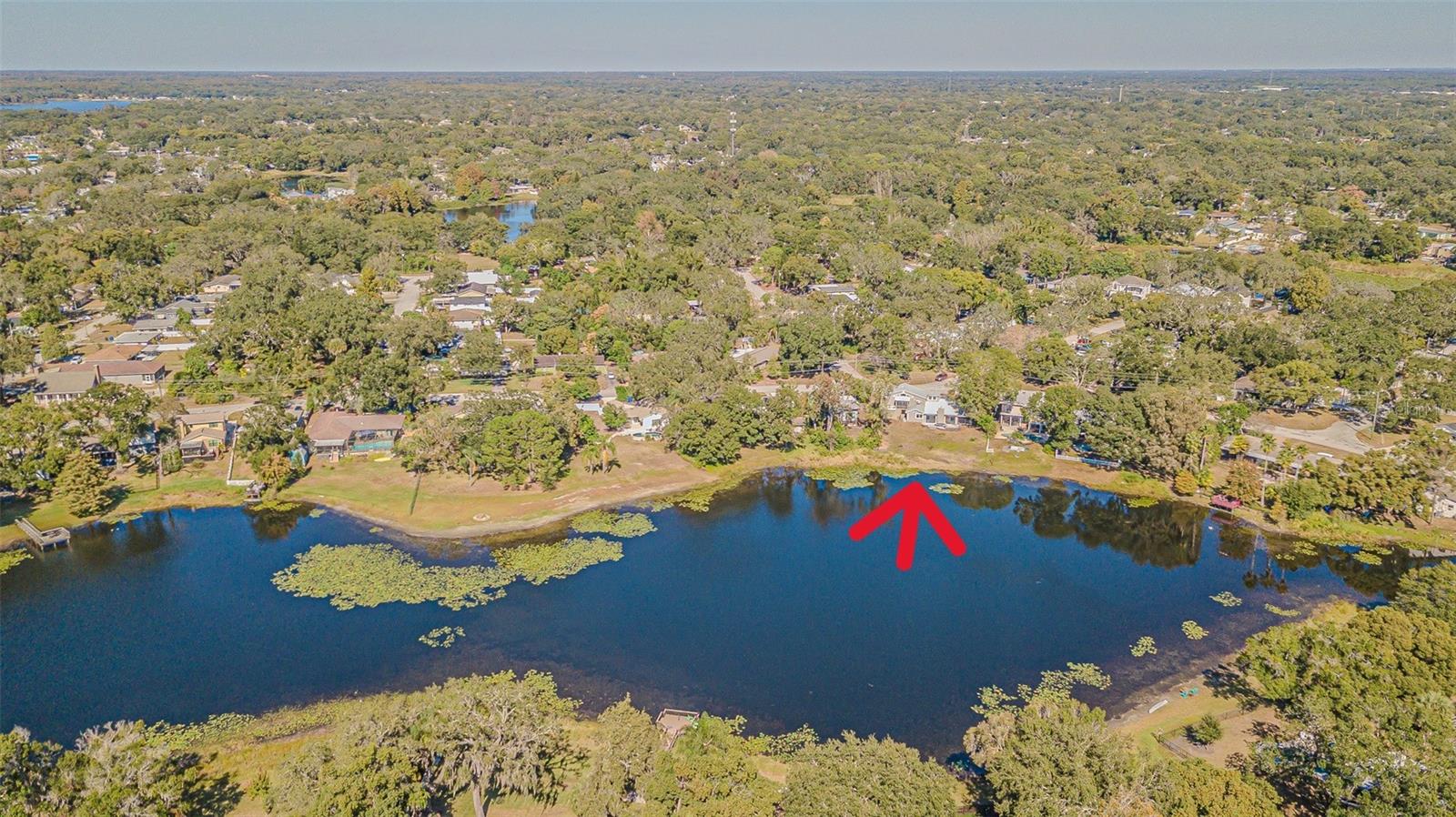 12510 FOREST HILLS DR, TAMPA, FL — photo 55