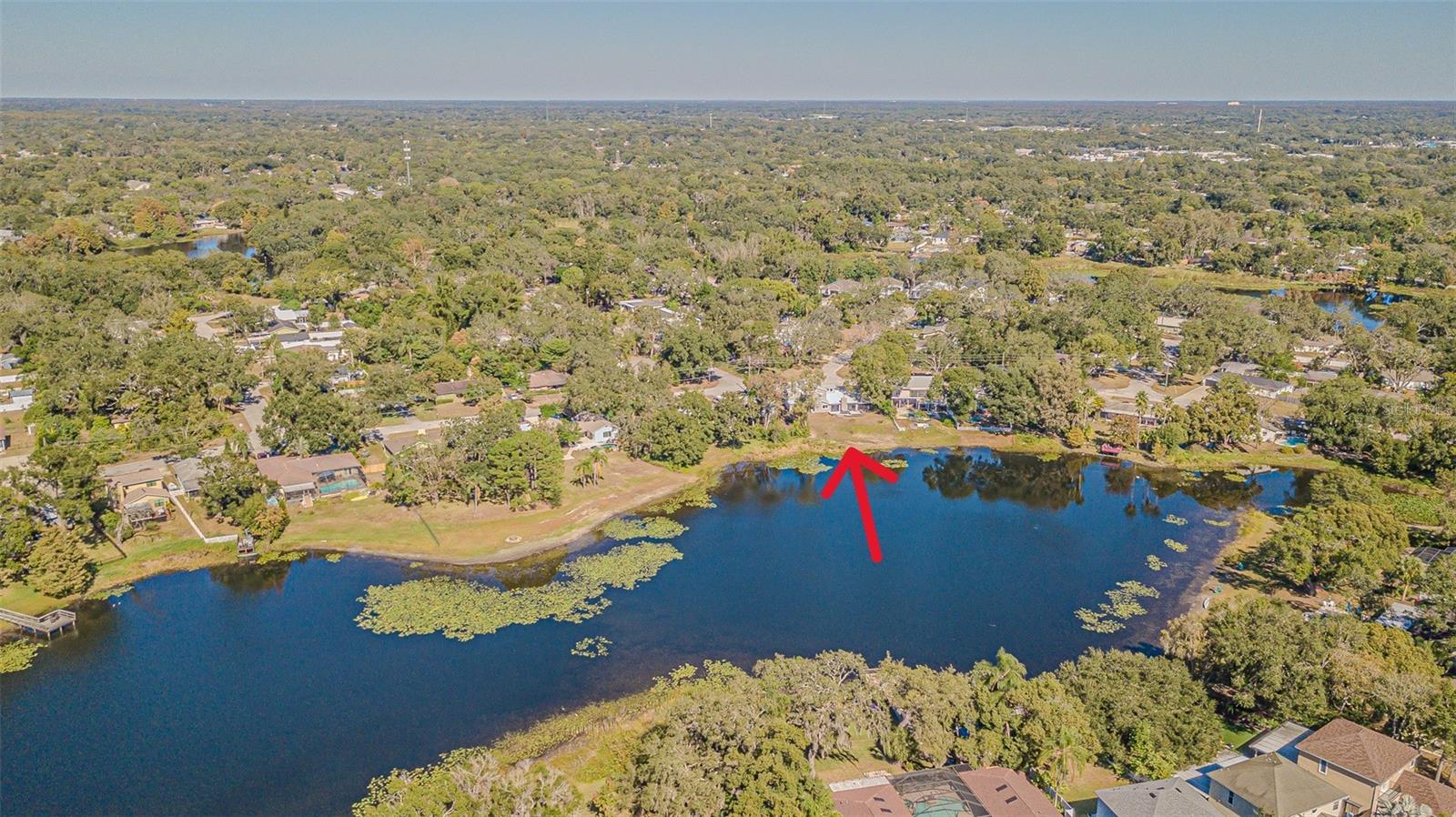 12510 FOREST HILLS DR, TAMPA, FL — photo 56