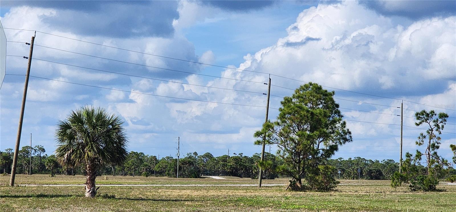 13014 EMERALD RD, PLACIDA, FL — photo 6