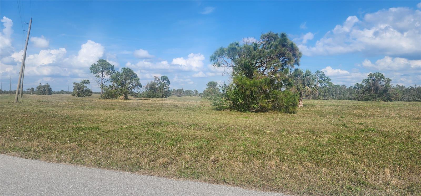13014 EMERALD RD, PLACIDA, FL — photo 7