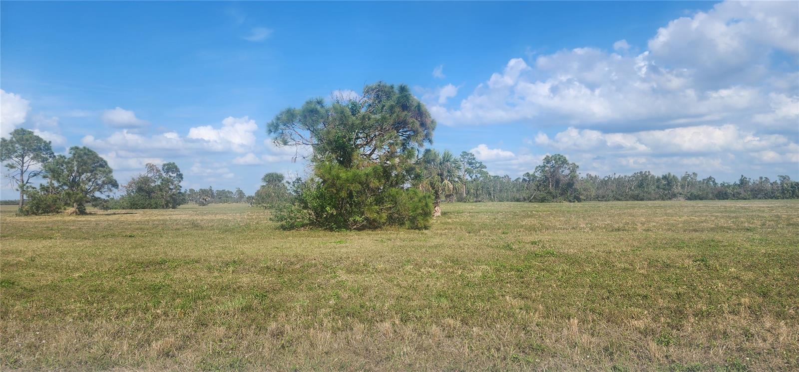 13014 EMERALD RD, PLACIDA, FL — photo 8