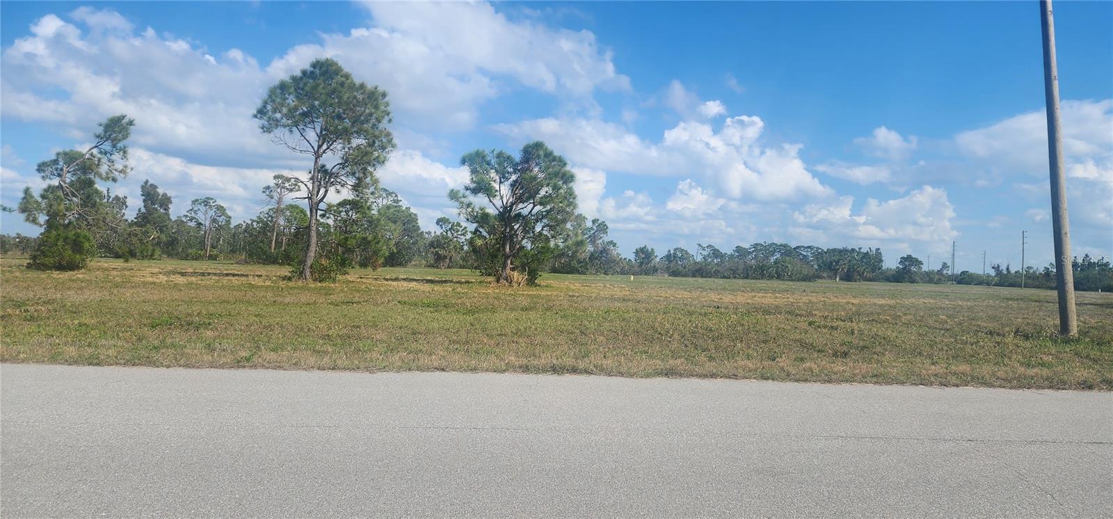13014 EMERALD RD, PLACIDA, FL — photo 10