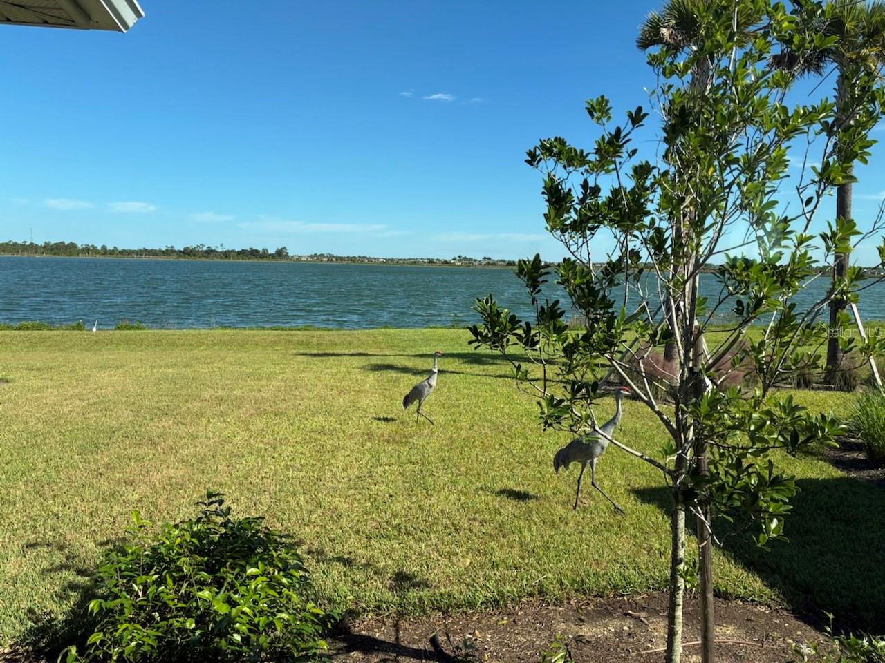 42211 EDGEWATER DR, PUNTA GORDA, FL — photo 2