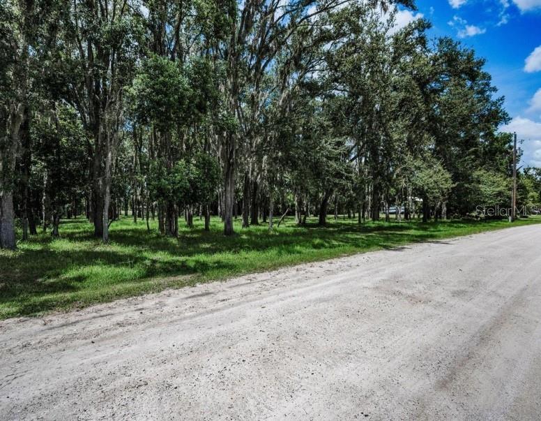 4635 COBB RD, LAND O LAKES, FL — photo 11