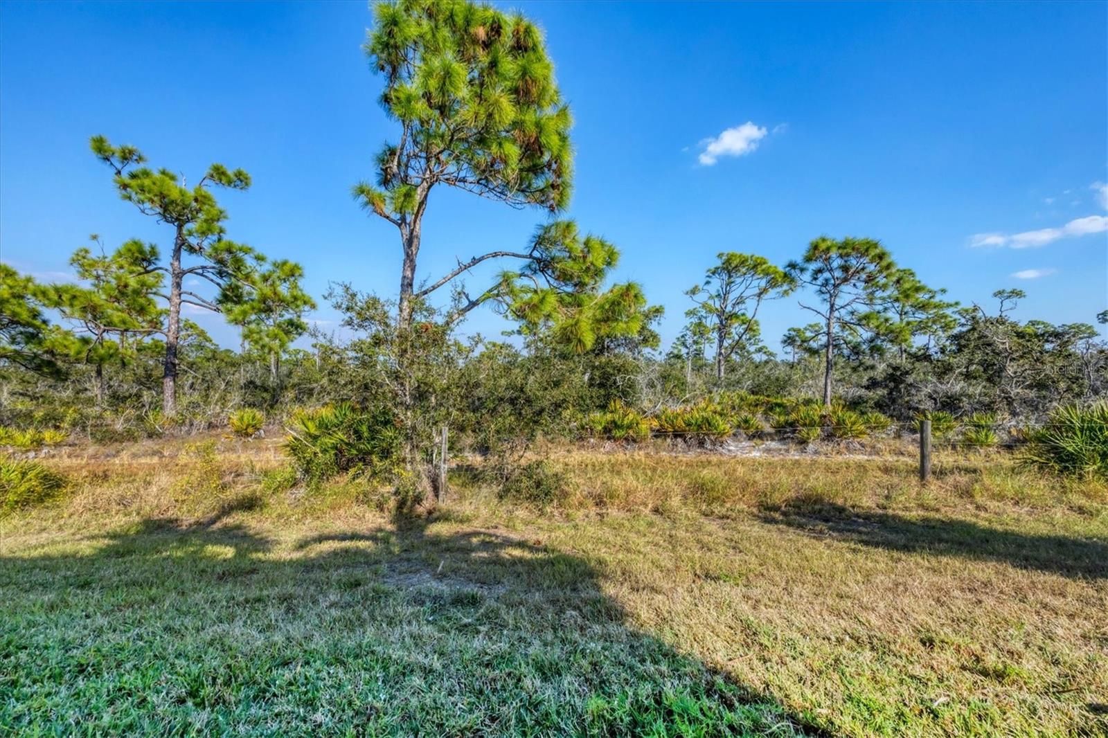 8920 CONCH AVE, PLACIDA, FL — photo 42
