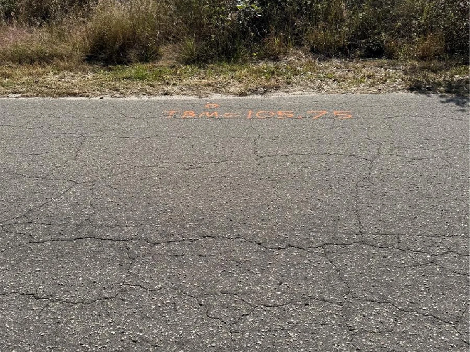 SE 115 PLACE RD, OCKLAWAHA, FL — photo 10