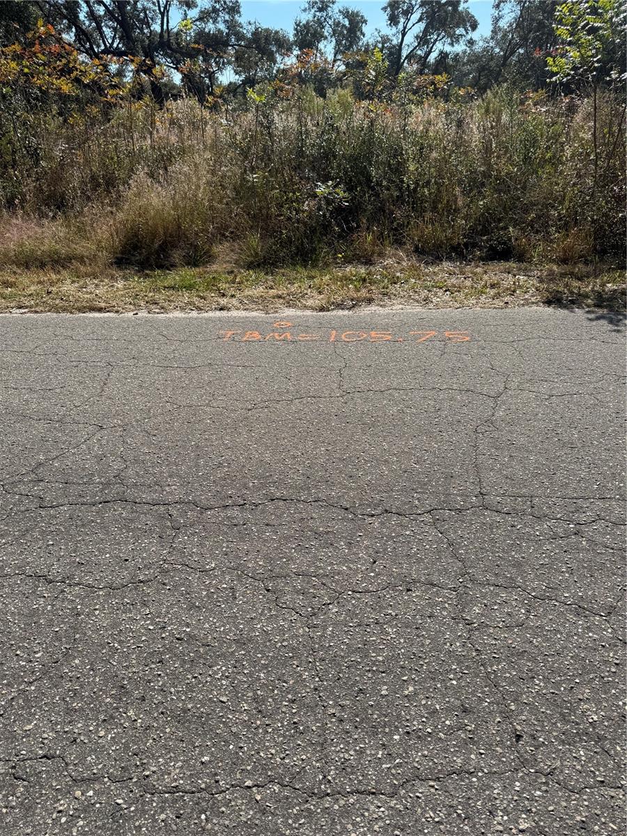 SE 115 PLACE RD, OCKLAWAHA, FL — photo 9