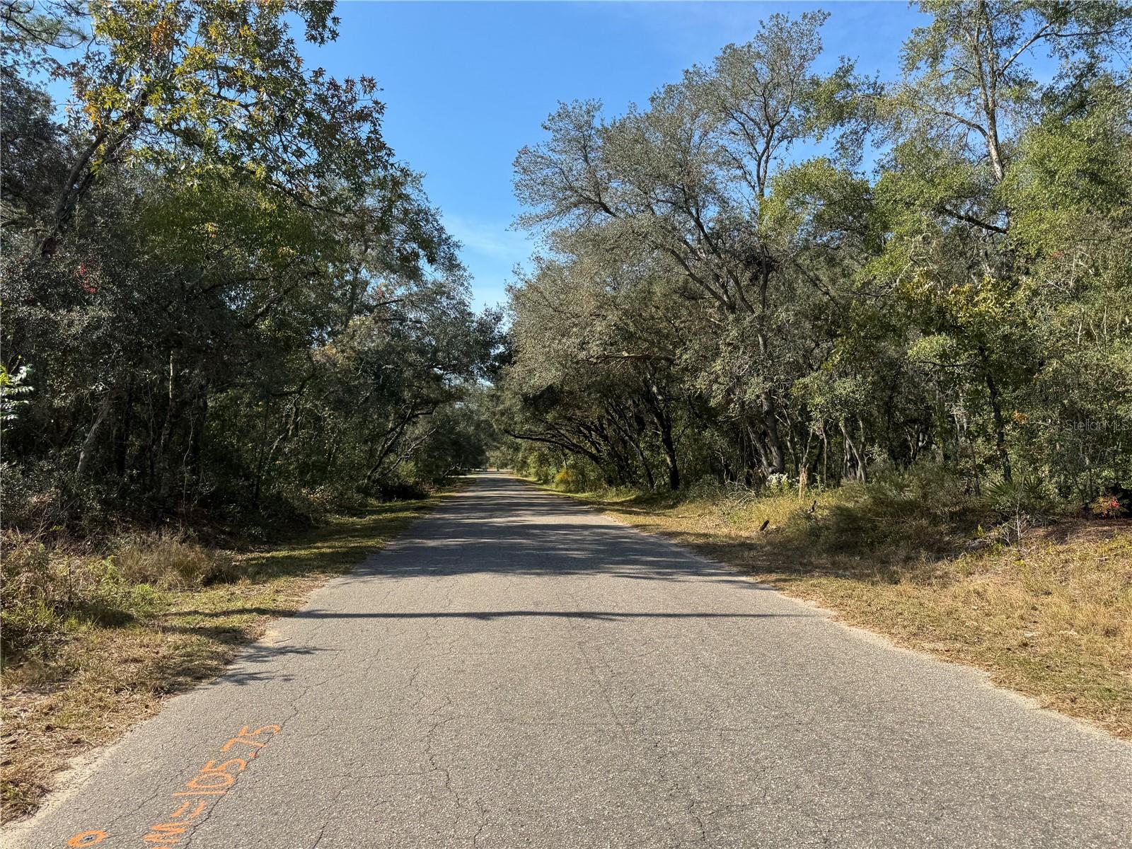 SE 115 PLACE RD, OCKLAWAHA, FL — photo 14