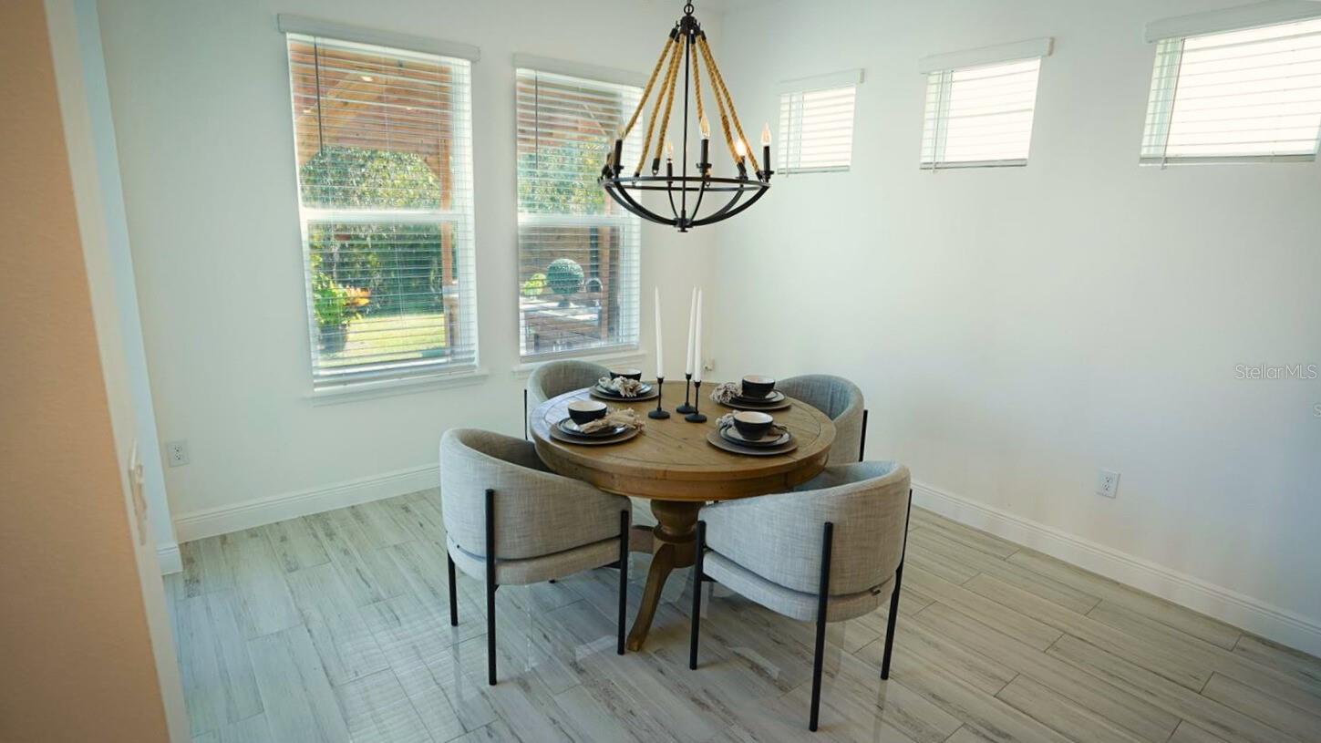 10067 AUSTRINA OAK LOOP, WINTER GARDEN, FL — photo 53