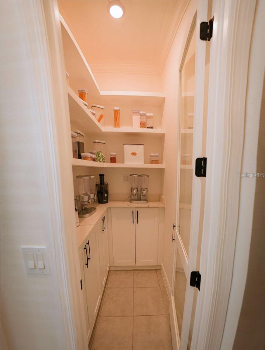 10067 AUSTRINA OAK LOOP, WINTER GARDEN, FL — photo 79