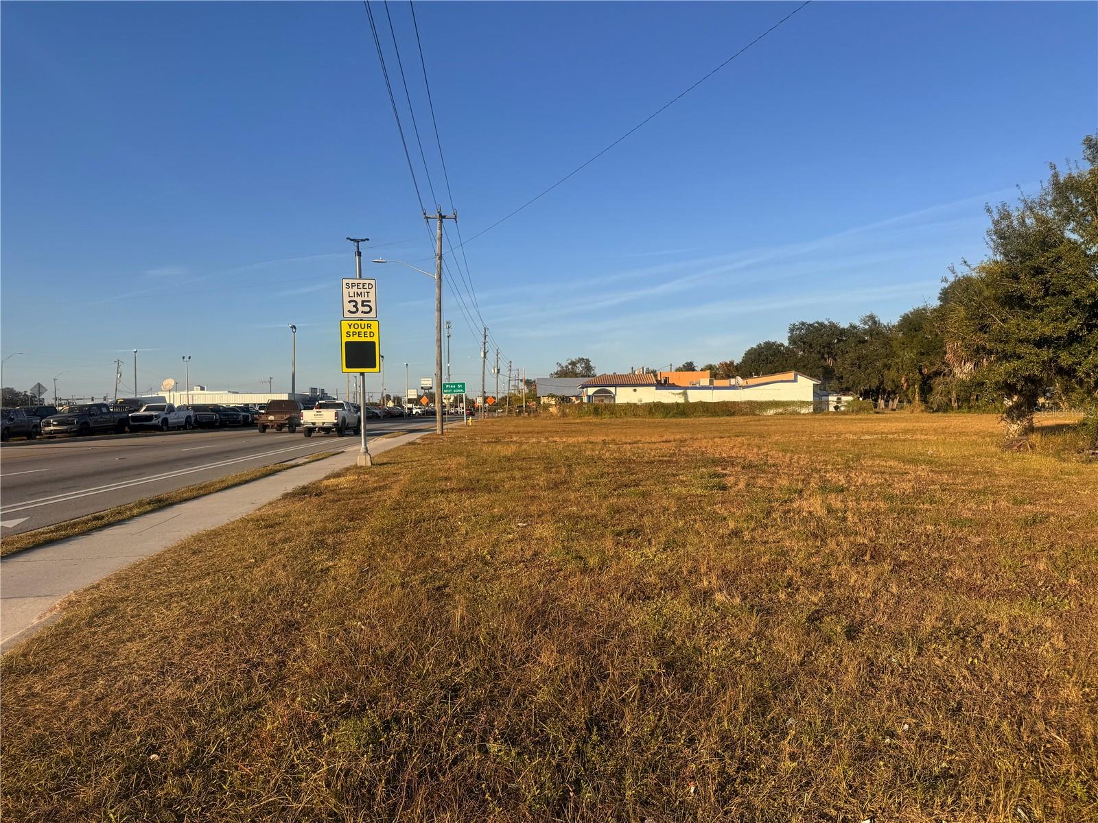 245 S BREVARD AVE, ARCADIA, FL — photo 8