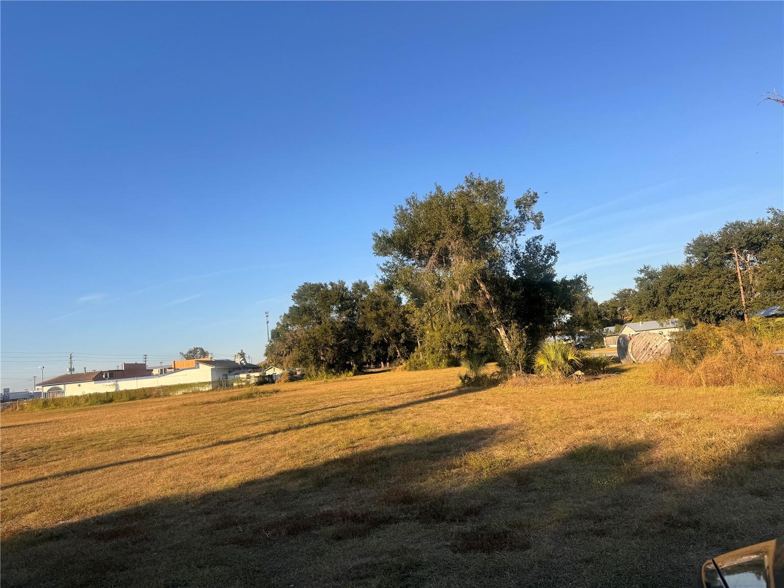 245 S BREVARD AVE, ARCADIA, FL — photo 10