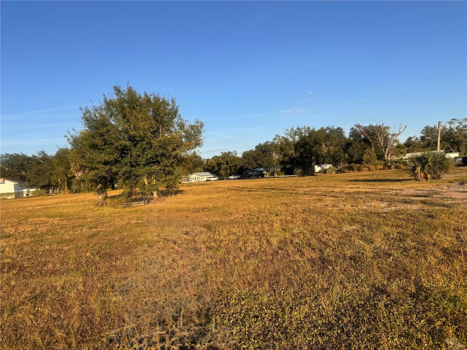 245 S BREVARD AVE, ARCADIA, FL — photo 14