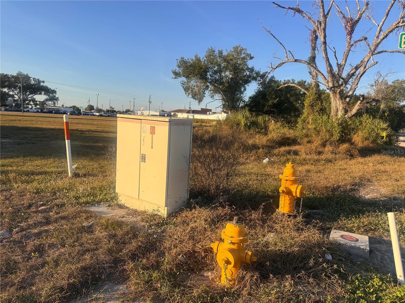 245 S BREVARD AVE, ARCADIA, FL — photo 15