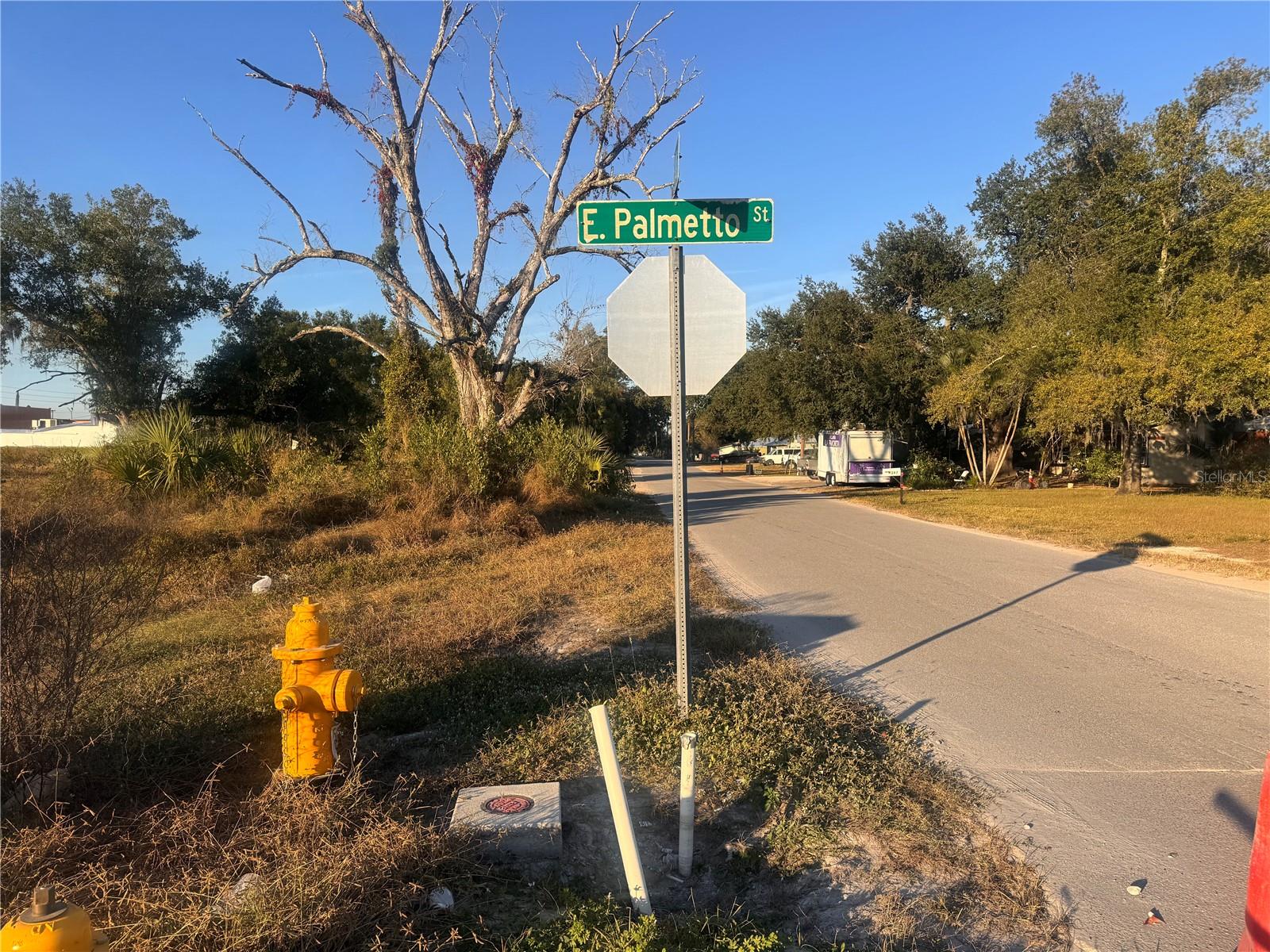 245 S BREVARD AVE, ARCADIA, FL — photo 5