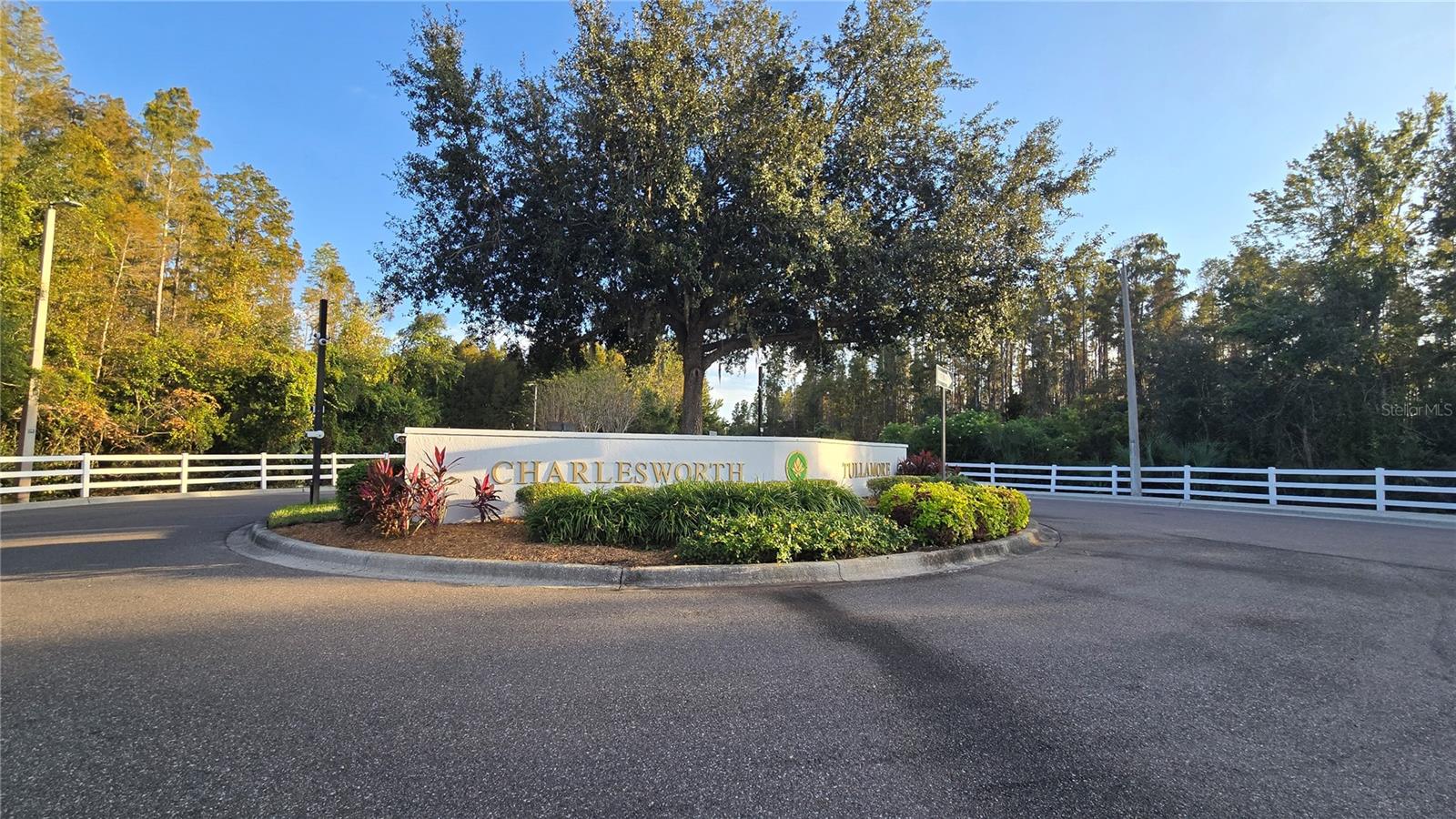 1302 DENMAN CT, WESLEY CHAPEL, FL — photo 27