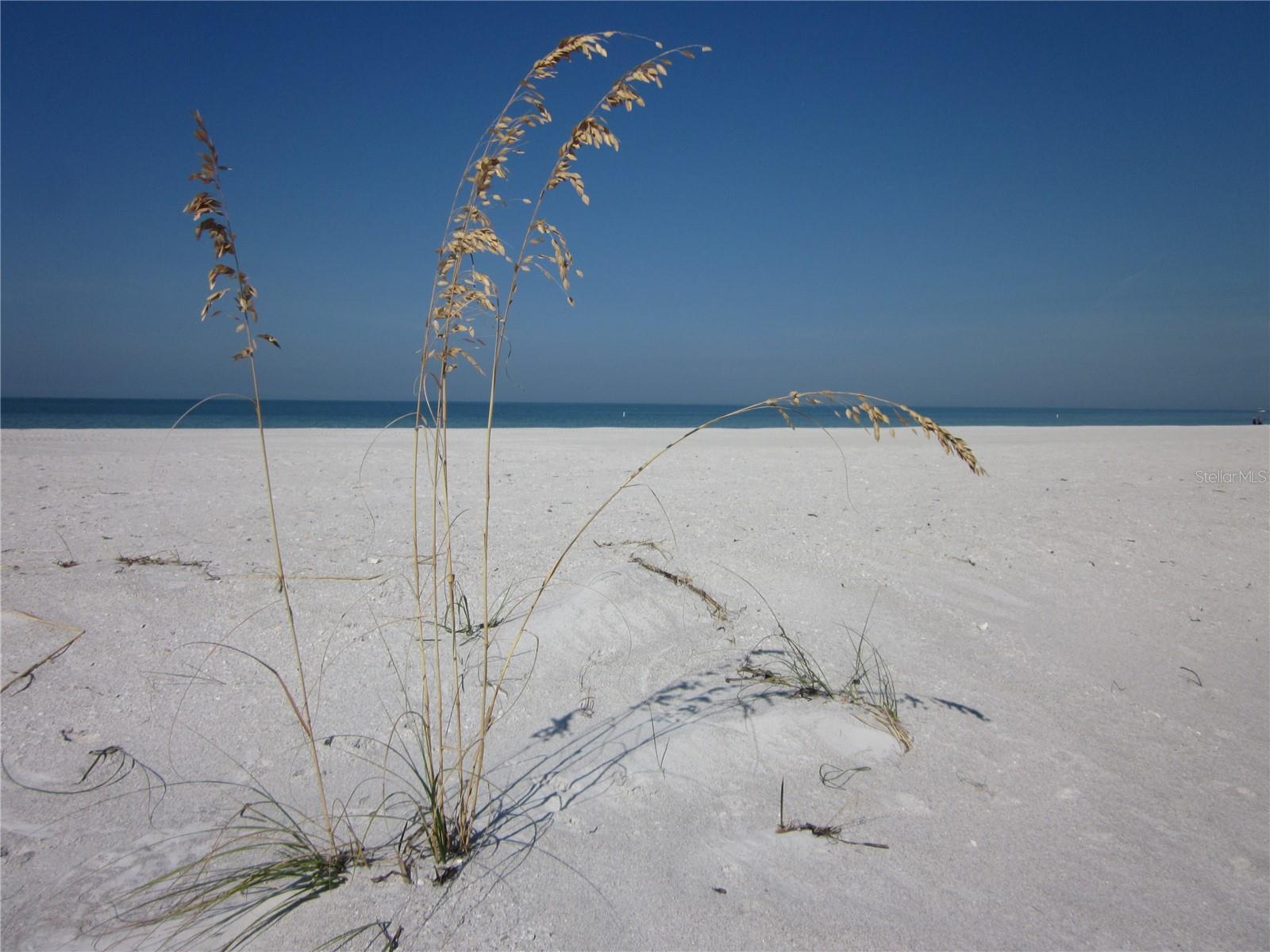1400 GULF BLVD #608, CLEARWATER BEACH, FL — photo 29