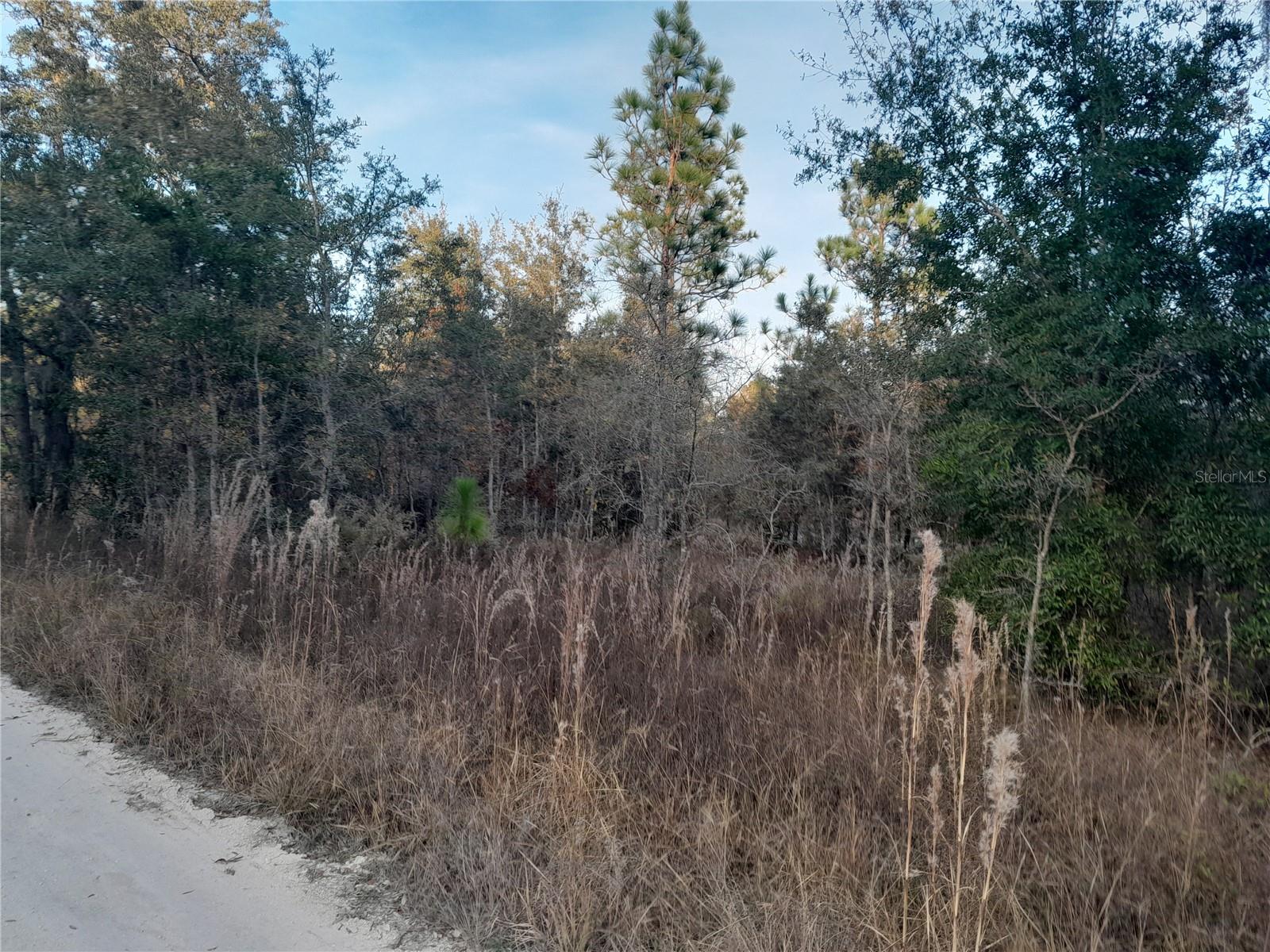 1531 NE 123RD AVE, WILLISTON, FL