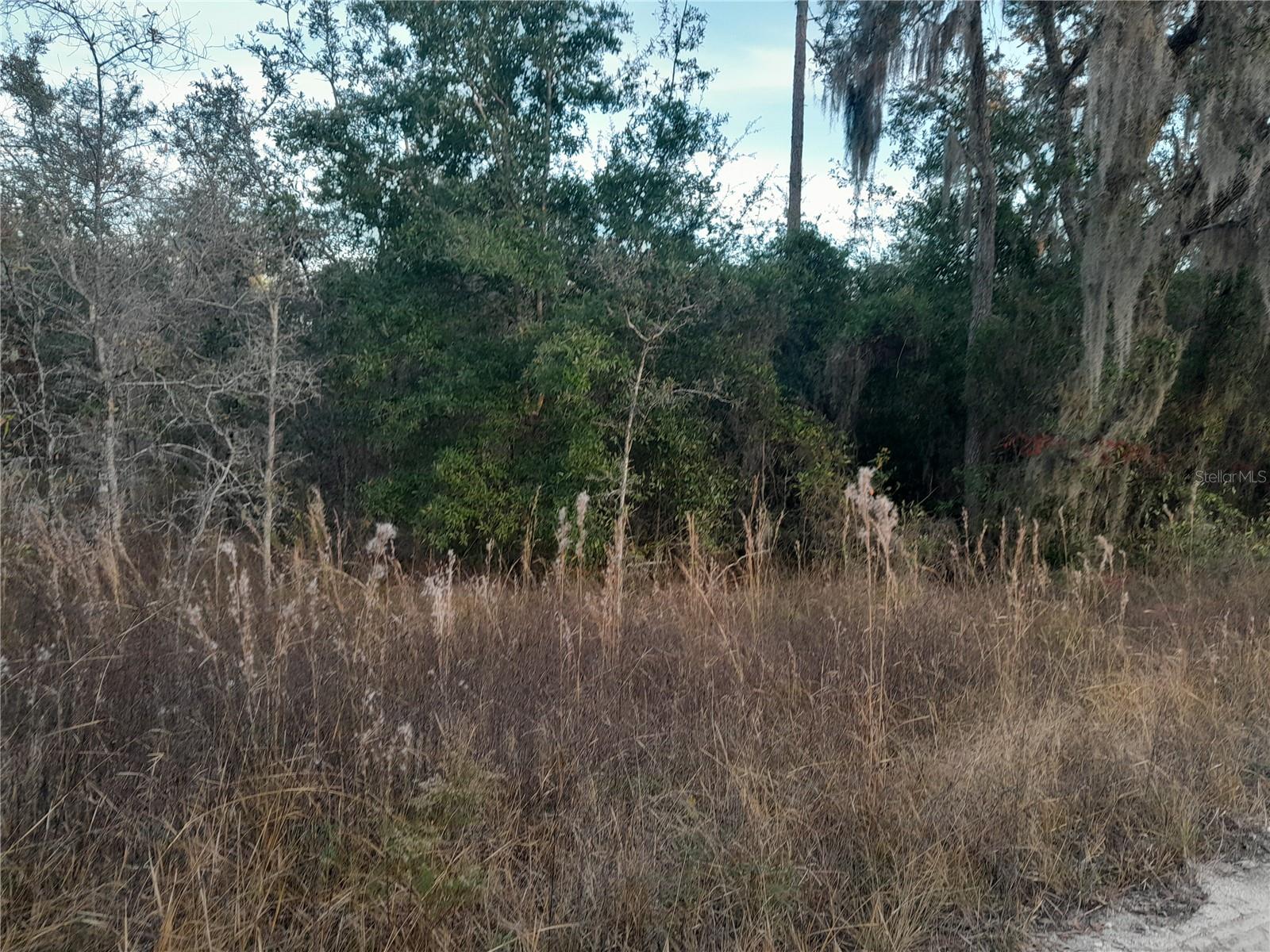 1531 NE 123RD AVE, WILLISTON, FL — photo 2