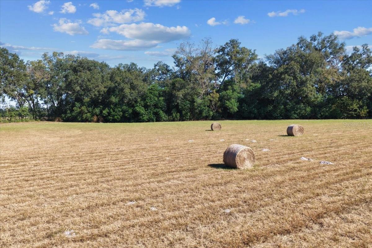 TBD NE 150 ST, TRENTON, FL