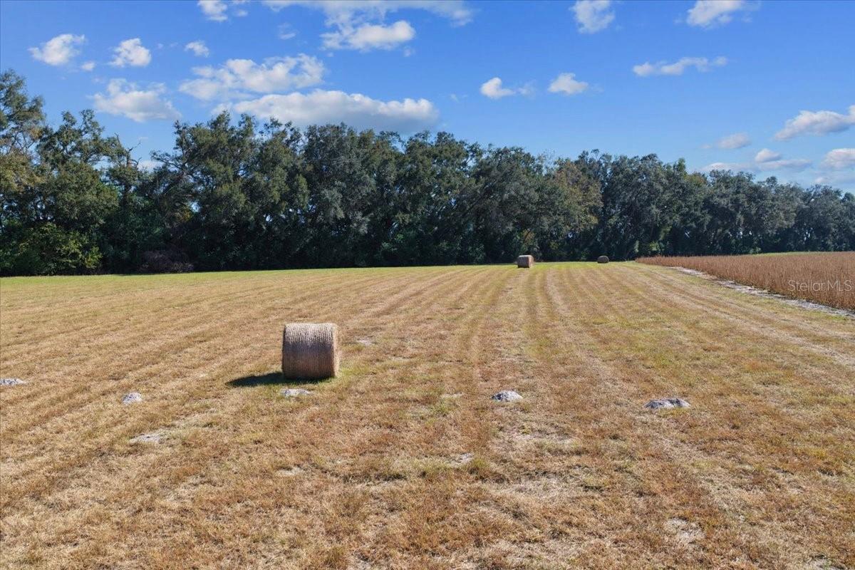 TBD NE 150 ST, TRENTON, FL — photo 3