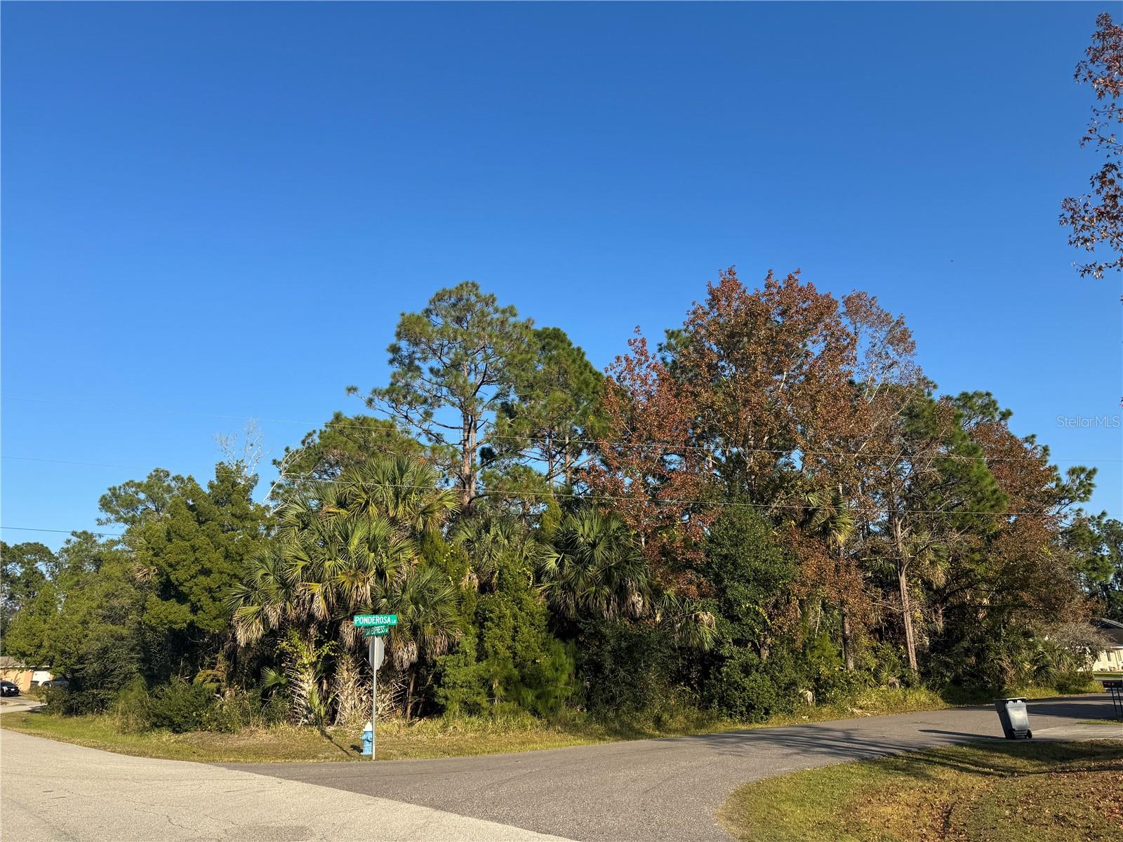 30 PONY EXPRESS DR, PALM COAST, FL — photo 2