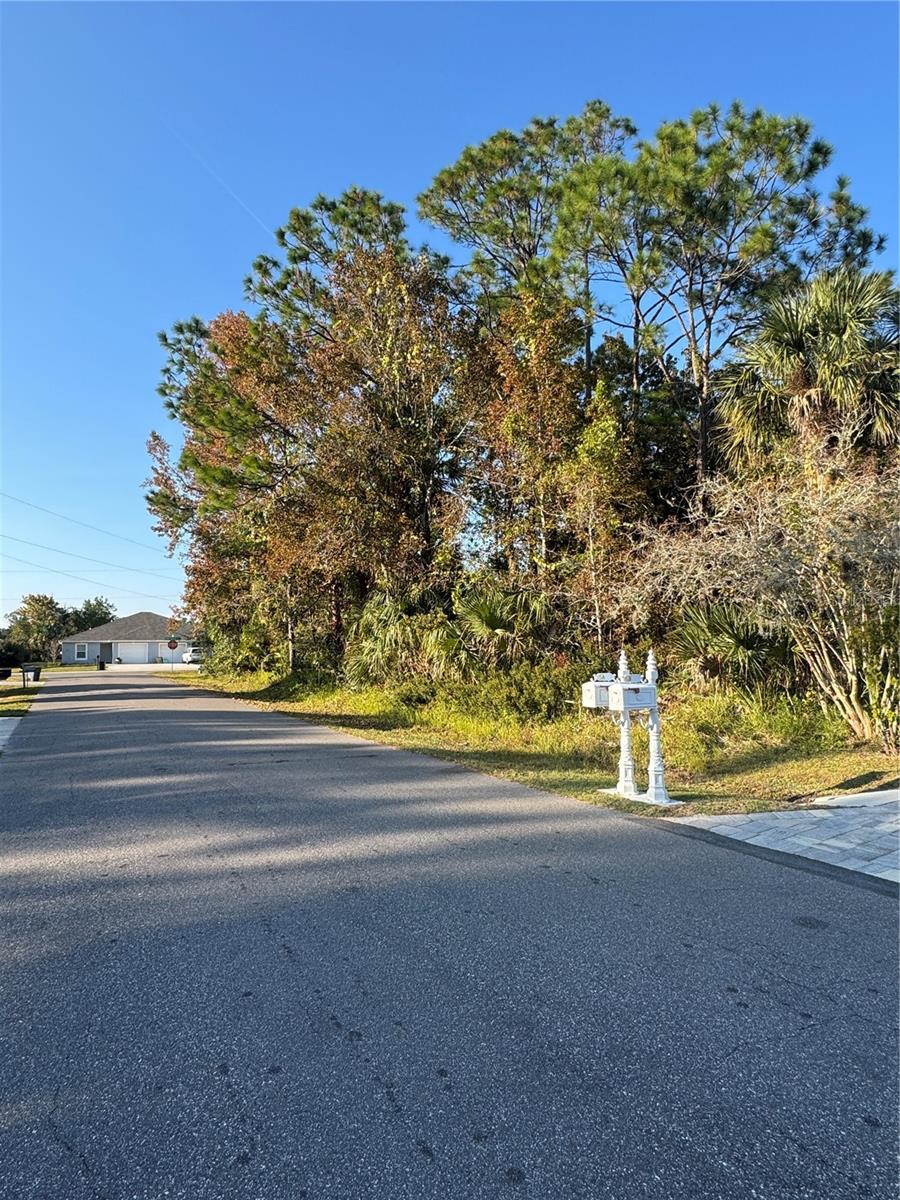 30 PONY EXPRESS DR, PALM COAST, FL — photo 6