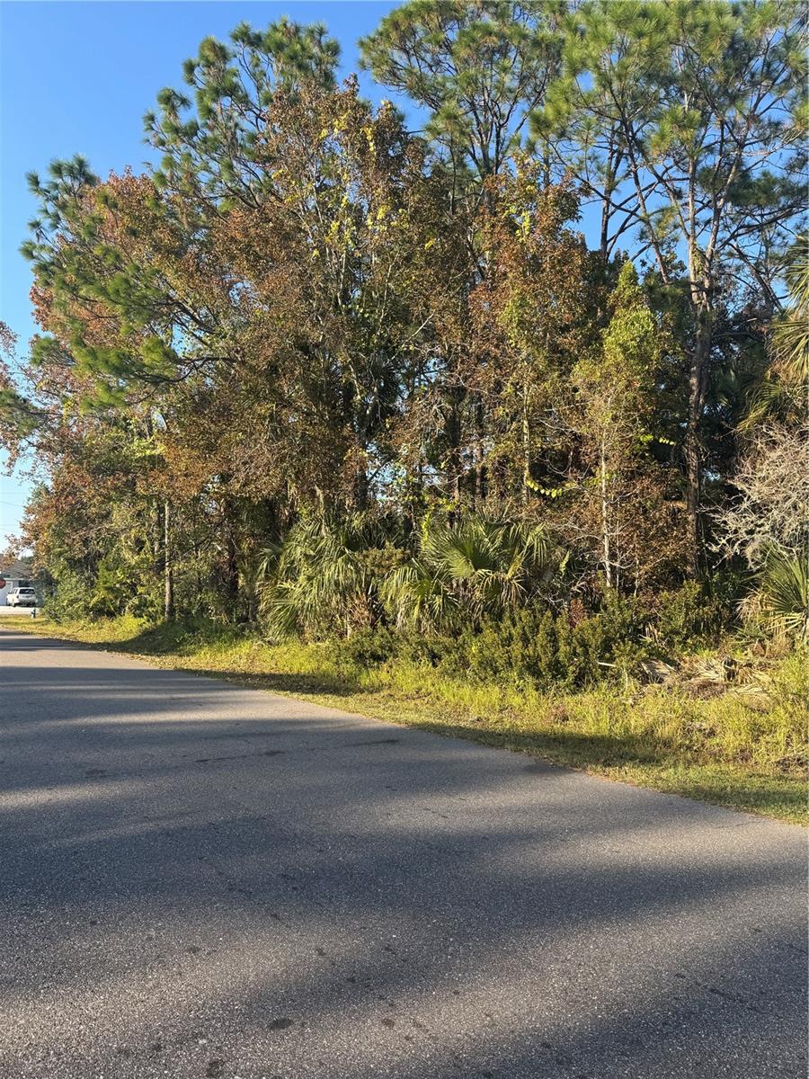 30 PONY EXPRESS DR, PALM COAST, FL — photo 7