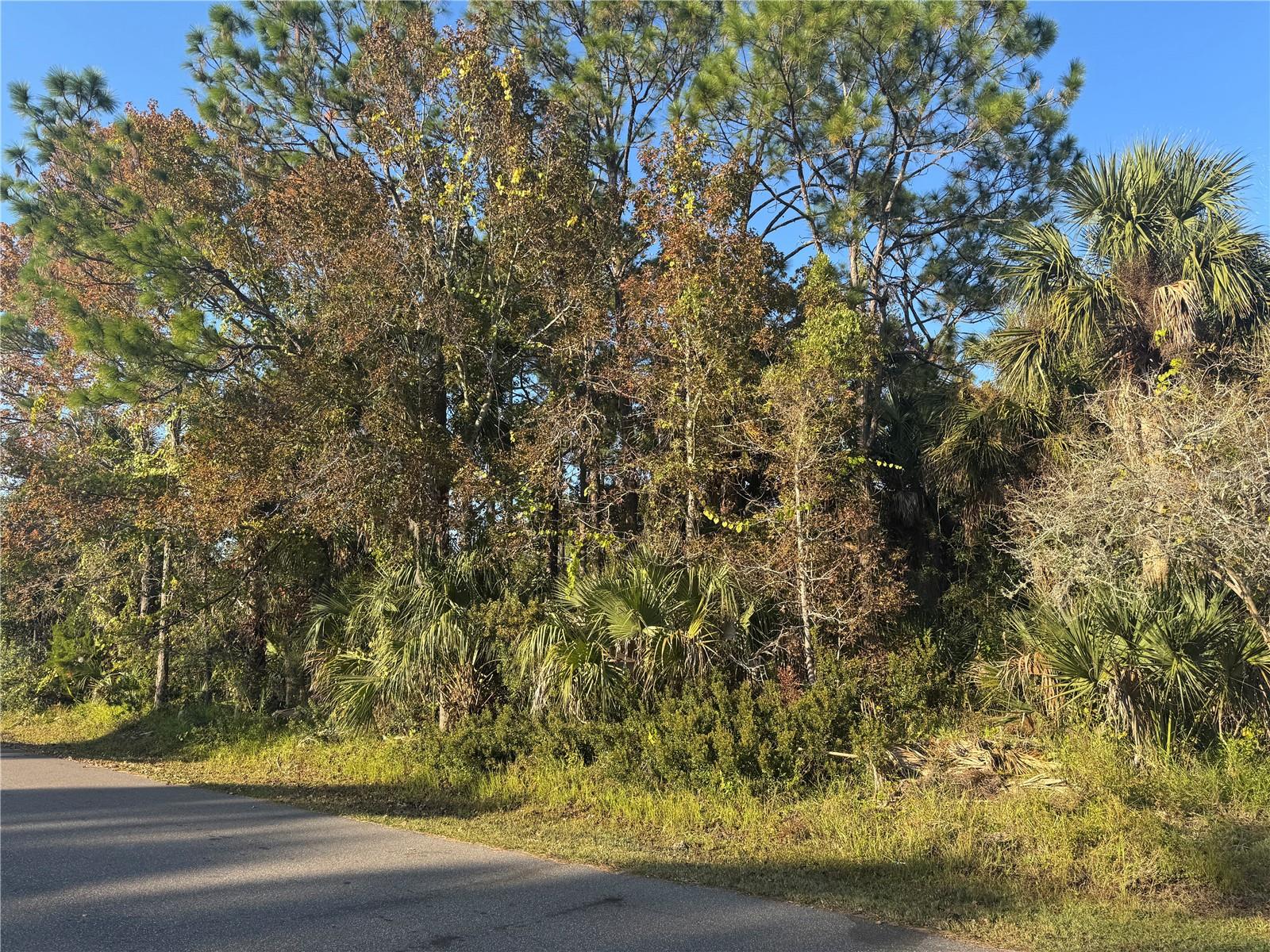 30 PONY EXPRESS DR, PALM COAST, FL — photo 8