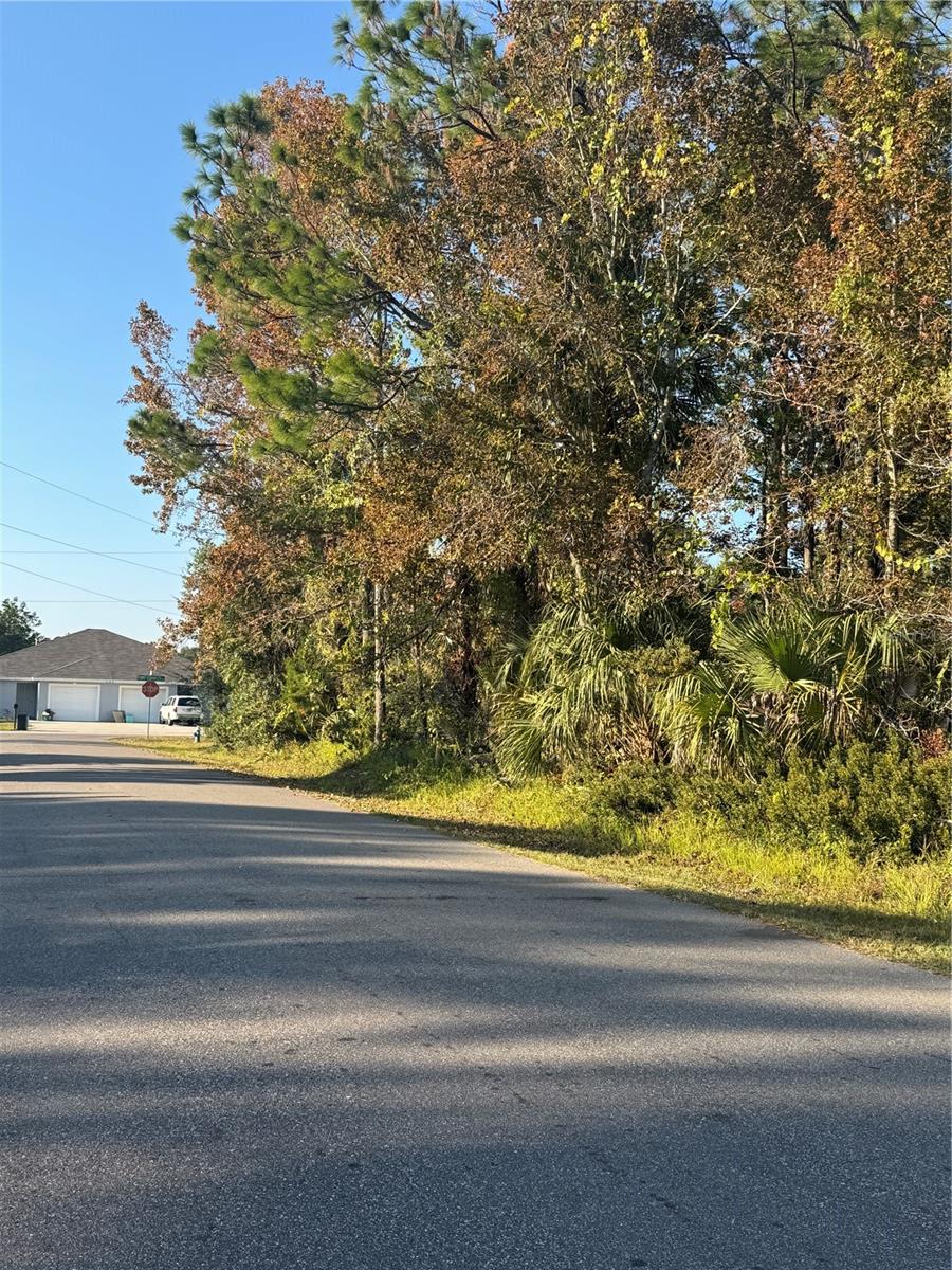 30 PONY EXPRESS DR, PALM COAST, FL — photo 9