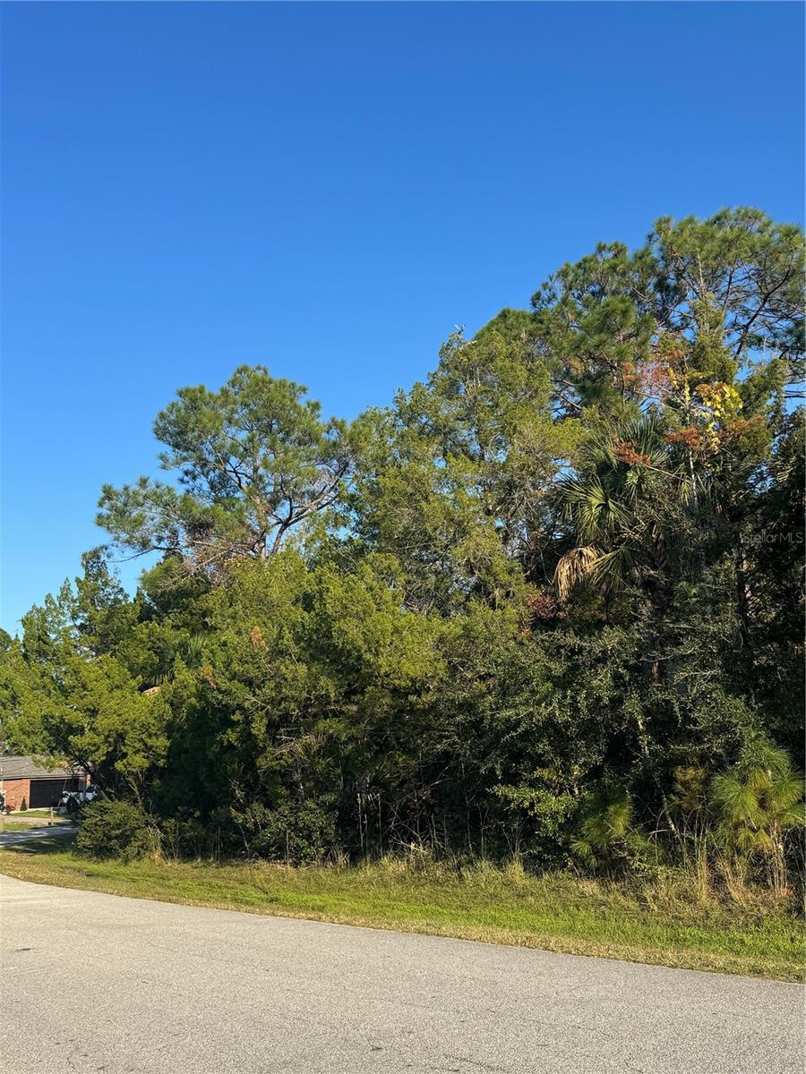 30 PONY EXPRESS DR, PALM COAST, FL — photo 10