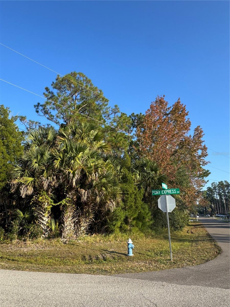 30 PONY EXPRESS DR, PALM COAST, FL — photo 11