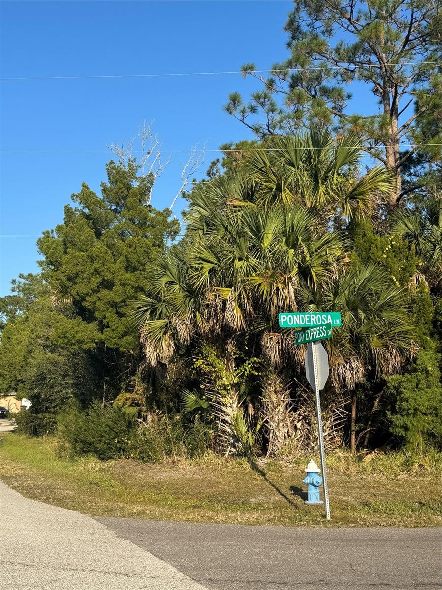 30 PONY EXPRESS DR, PALM COAST, FL — photo 12