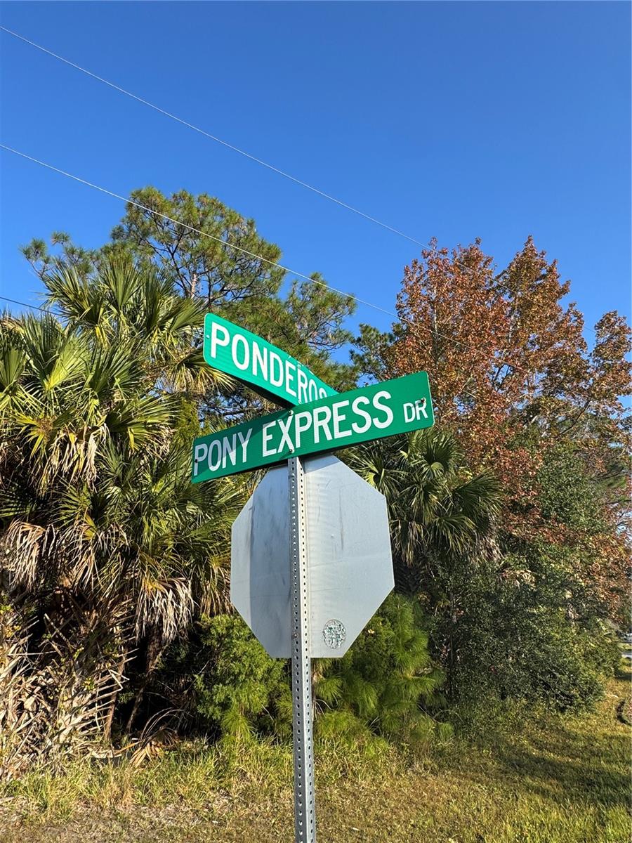 30 PONY EXPRESS DR, PALM COAST, FL — photo 13