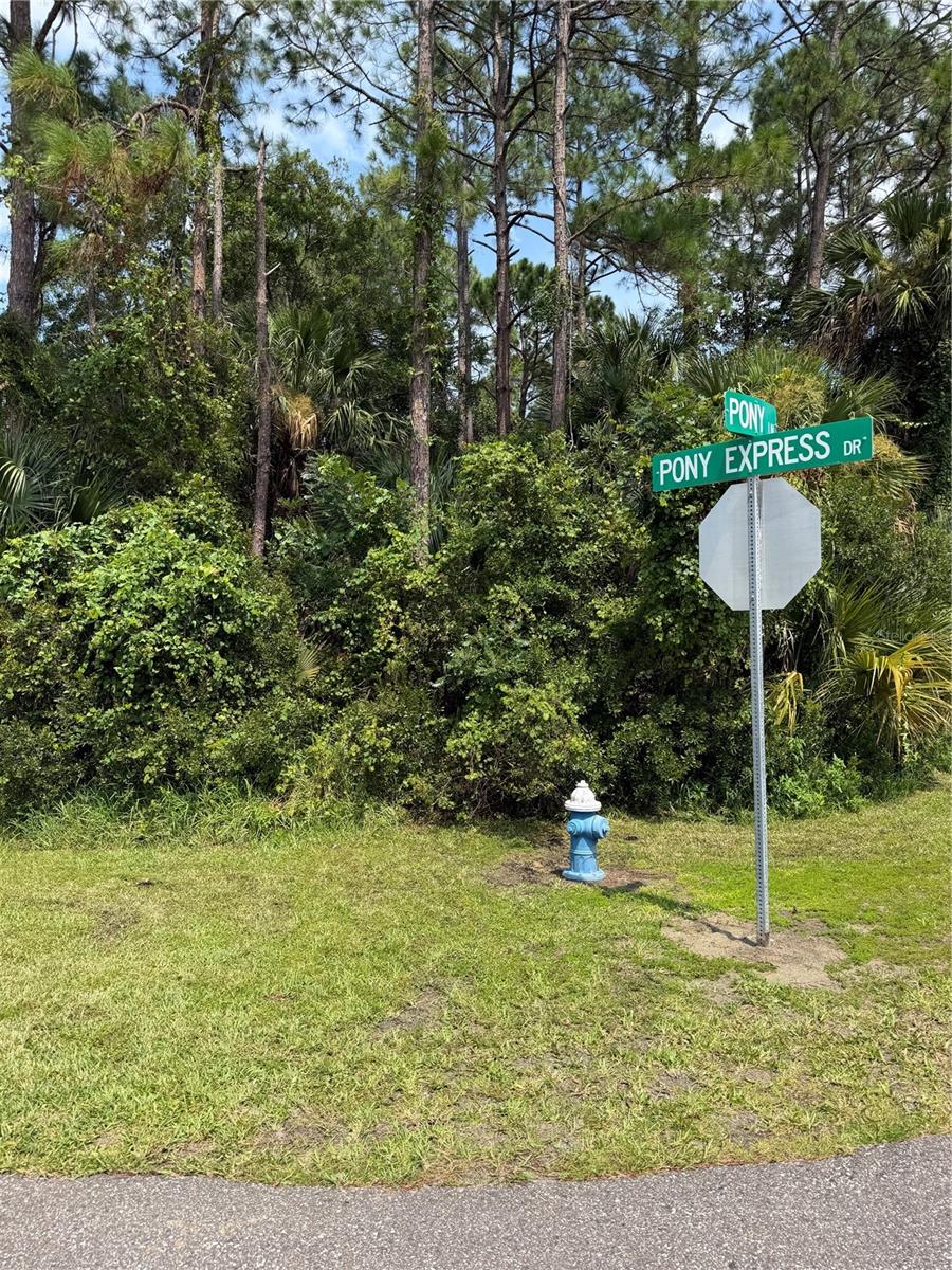 30 PONY EXPRESS DR, PALM COAST, FL