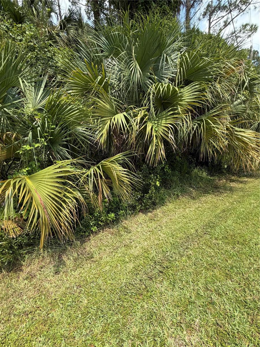 30 PONY EXPRESS DR, PALM COAST, FL — photo 3