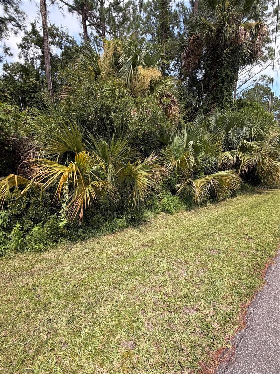 30 PONY EXPRESS DR, PALM COAST, FL — photo 4