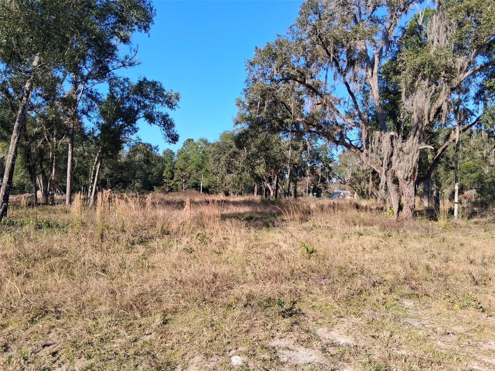 0 LONG CIR, WEBSTER, FL